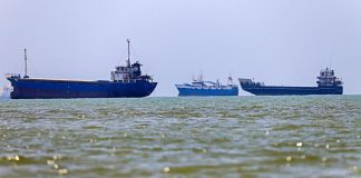 Superspreader event of invasive species originating near Strait of Hormuz possible