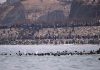 Spain deploys military to Ceuta after thousands of people breach Morocco’s border