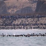 Spain deploys military to Ceuta after thousands of people breach Morocco’s border