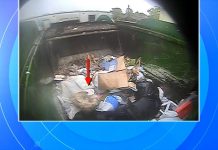 WATCH: Dog rescued from garbage truck finds forever home with driver