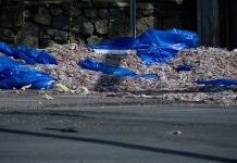 WATCH: Over 20 tons of squid spill onto Rhode Island road blocking traffic for 8 hours