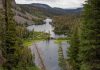 Trump admin moves to allow logging and construction in national forests