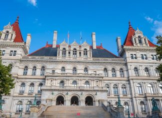 Woman arrested for allegedly plotting New York state Capitol attack