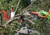 Thousands in northwest Indiana still without power nearly two weeks after storm