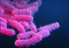 A new vaccine could vanquish a major cause of deadly diarrheal disease