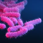 A new vaccine could vanquish a major cause of deadly diarrheal disease