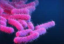 A new vaccine could vanquish a major cause of deadly diarrheal disease