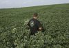 The Iran war and tariffs are costing farmers. Will Republicans pay in November?