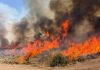 Crews battle wildfires in western U.S. and Canada
