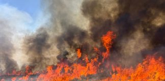 Crews battle wildfires in western U.S. and Canada