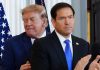 US set for largest mass visa revocation in history targeting up to 200,000 foreigners, officials say