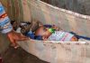 Why is the rate of premature births so high in this community?