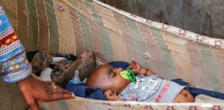 Why is the rate of premature births so high in this community?