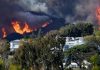 California passes toughest wildfire rules in the U.S. for home landscaping