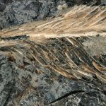 A fossil feather from the age of dinosaurs may explain why only some birds survived This fossilized feather dates back 66 million years to the late Cretaceous. "It is, without a doubt, the best feather we