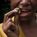 Ancient teeth pose a mystery: What made those strange grooves? A woman cracks the hull of a betel nut with her teeth to get to the meat to chew.