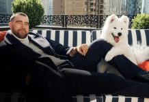 WATCH: Taylor Swift and Travis Kelce debut their new dog 260902 gma potd 749 hpmain 16x9 1600