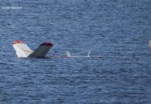 WATCH: Rep. Tom Tiffany, pilot suffer minor injuries in emergency water landing 260914 gmafl tiffany plane hpmain 16x9 1600