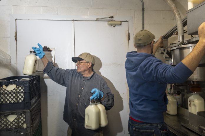 Dale Mortimer, left, and his son Brett fill milk jugs at Daloris Dairy, a dairy farm in Rigby, Idaho, in 2024.