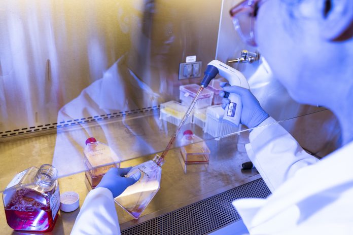 Cathy Tie, the founder and CEO of Origin Genomics, replenishes nutrients sustaining cells the New York City startup is using to test its technology for repairing defective genes.