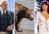 From left: a king, a king of bears, a queen of country.