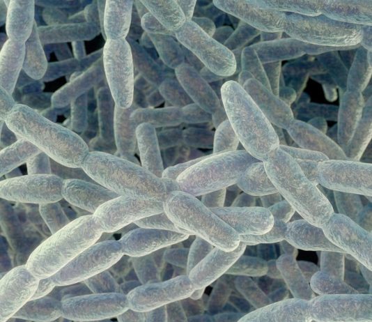 1 death, 5 cases as NYC health officials report another Legionnaires’ disease cluster Legionnaires gty er 260911 1789139696626 hpmain 16x9 1600