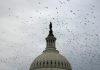 Military funding, AI and more: Congress returns for short stint before bolting again Capitol rt jef 260901 1788286983212 hpmain 16x9 1600