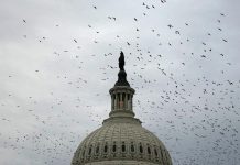 Military funding, AI and more: Congress returns for short stint before bolting again Capitol rt jef 260901 1788286983212 hpmain 16x9 1600