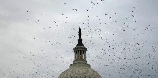 Military funding, AI and more: Congress returns for short stint before bolting again Capitol rt jef 260901 1788286983212 hpmain 16x9 1600