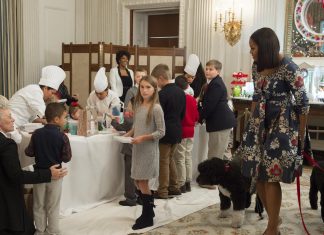 Barack, Michelle Obama announce death of ‘cherished’ dog Sunny Obama getty abc 260916 1789573026349 hpmain 16x9 1600