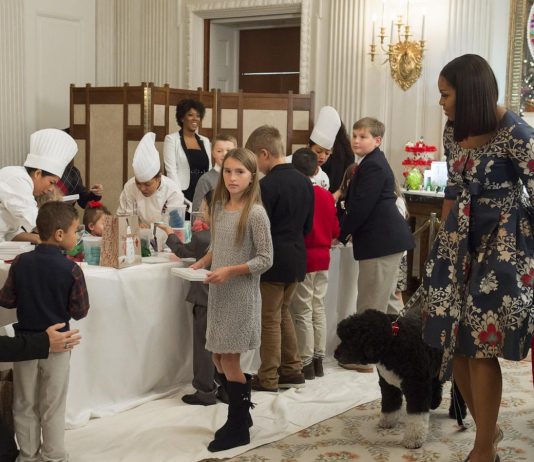 Barack, Michelle Obama announce death of ‘cherished’ dog Sunny Obama getty abc 260916 1789573026349 hpmain 16x9 1600